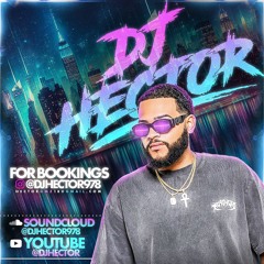 DanceHall Vibes Vol 3 - DJ Hector