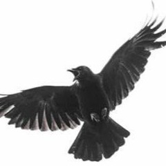 Onit-Crows Pt.5(Prod.TykoVain)