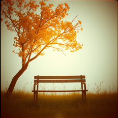 Perfect Place