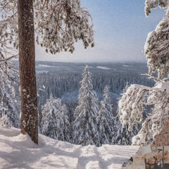 December ft.nosteezz (prod.TQ)