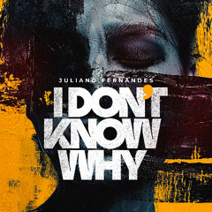Juliano Fernandes - I Don't Know Why (filtered by copyright)