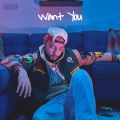 Want You - Ziron (Original)