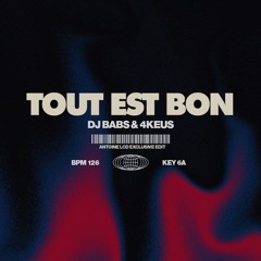 TOUT EST BON (ANTOINE LCD EDIT)