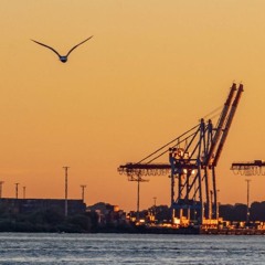Massive Gewalt im Hafen