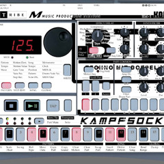 Kampfsocke M-Tastisch (Korg EM-1)