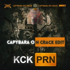 Deadly Guns & Irradiate - KCKPRN [Capybara On Crack Edit]
