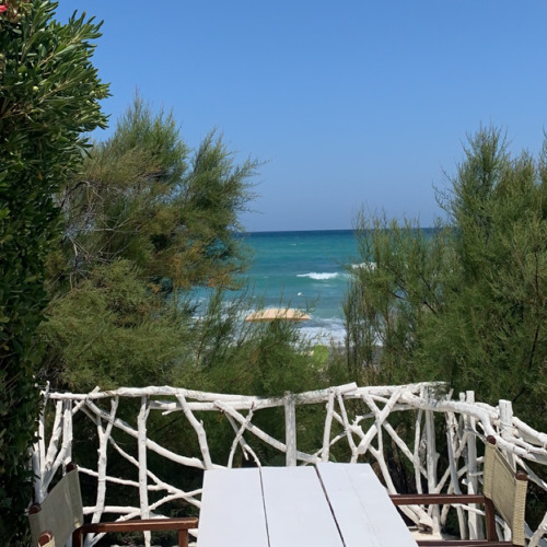 Sun’s out, tits out