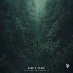 birø & Plaha - Lost In The Woods