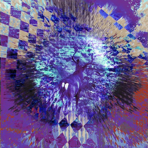 VelaNova