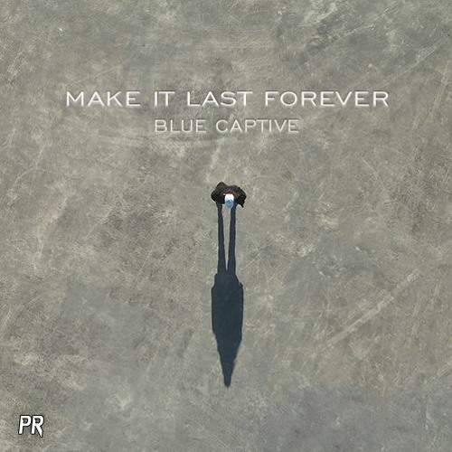 Make It Last Forever