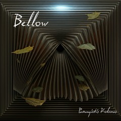 Bellow [accordion & electronics]