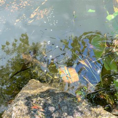 piano.tidal inlet (demo) 082724
