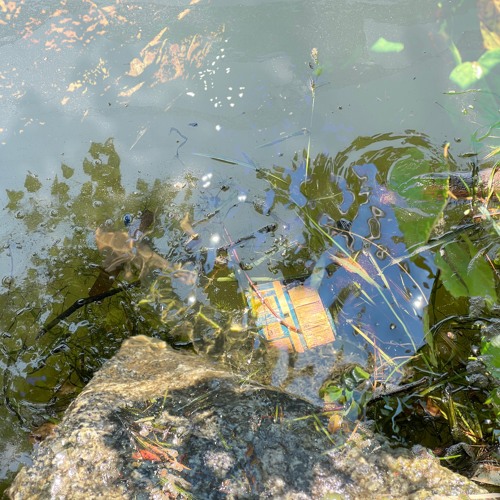 piano.tidal inlet (demo) 082724
