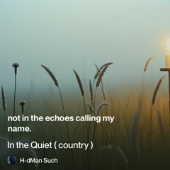 in the quiet