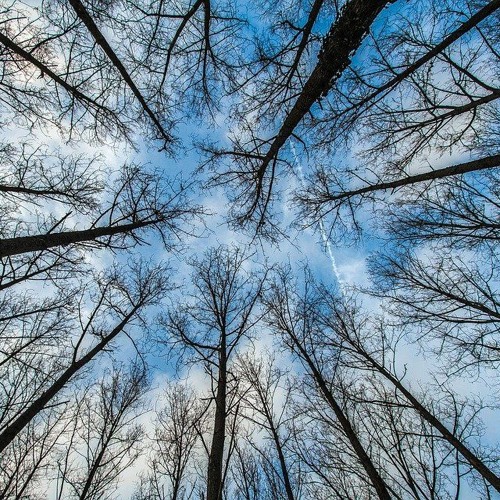 View from Heaven (Covered)