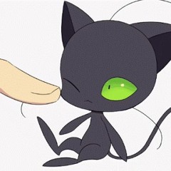 Learn To Meow