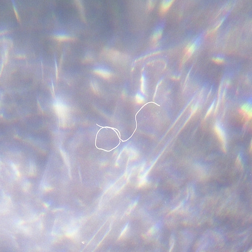 tiny circles ت