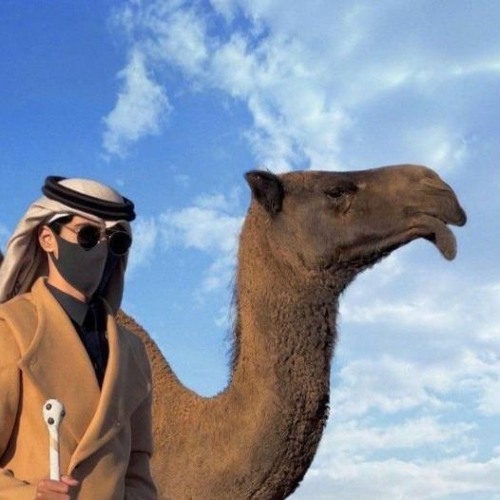 ابو بكر    Mashup