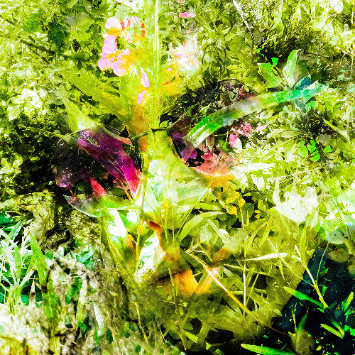 Portal (Live Mix); Release Date: 08/08/2025
