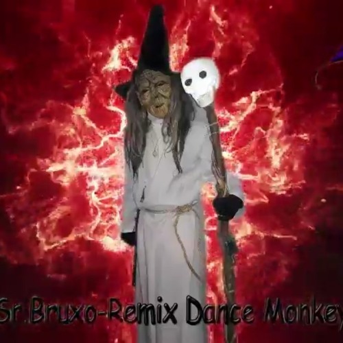 Sr.Bruxo - Remix (Dance Monkey)