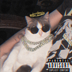 Claymation Conscience