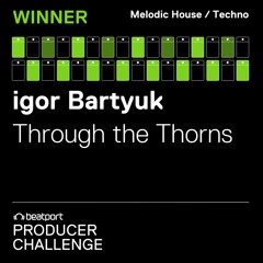 igor Bartyuk - Through The Thorns (Original Mix)
