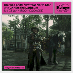 23.01.24 The Vibe Shift - New Year North Star - Christophe Darbouze