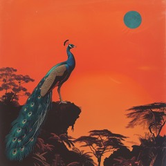 Afro Tamba Tamba