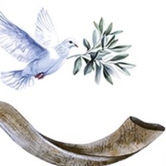 Or Zarua: Git Arain a Nechomelekh