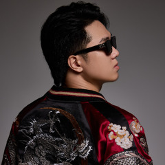 MIXTAPE 2025 - CHÚ CHÓ TRÊN Ô TÔ VOL1  - LuneB