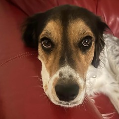 carpoolin prod bullseye