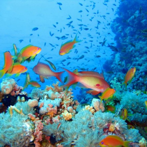 エロヒプノシスエロ文学 War Thunder background music DOWNLOAD