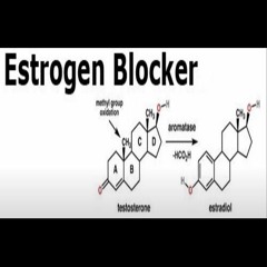 - ESTROGEN REDUCER - Binaural beats + Isochronic Tones(Aromatase Inhibition, Higher Testosterone)