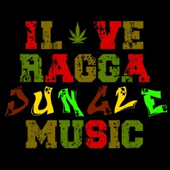 Tanya Stephens its a pity Edd solo ( Raize remix )dnb