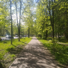 Лето