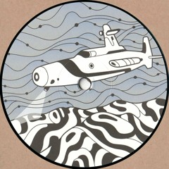 Reedale Rise - The Searching (PROS003)