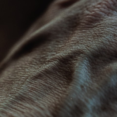 ltfll - Nested Skins