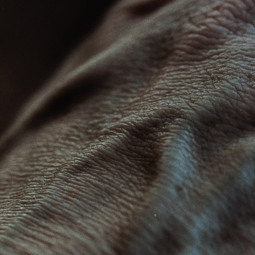 ltfll - Nested Skins