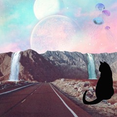 💜✨🐈‍⬛✨🐈‍⬛✨💜