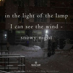 haiku #554: In the light of the lamp / I can see the wind - / snowy night