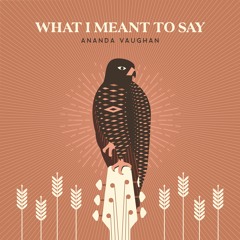 Ananda Vaughan - What I Meant To Say