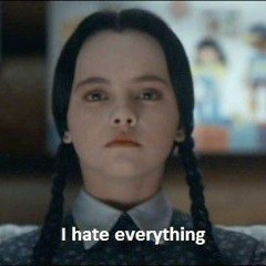 WENSDAY FREESTYLE (p. slyes)