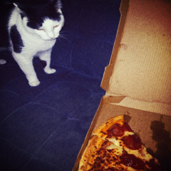 bombdiggity 🙀🍕