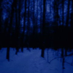lost yourself
