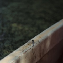 Nothing but You (demo)