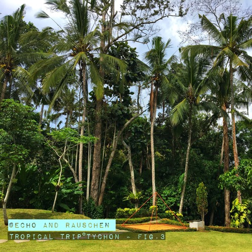Tropical Trip°Tychon ~ Fig.3