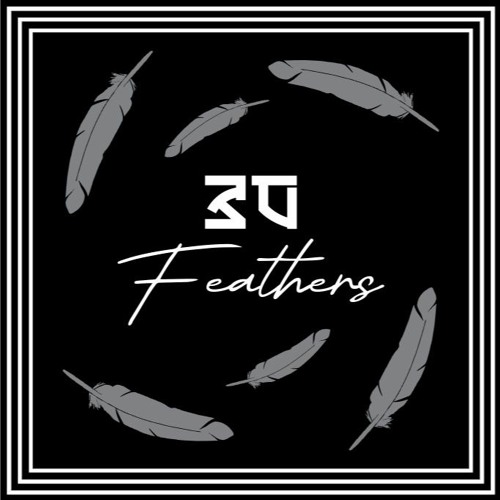 30 Feathers (Original Mix)