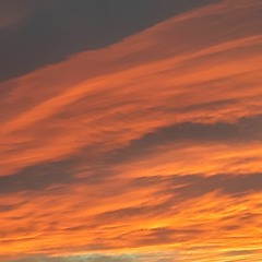 On My Mountain Deep In Space / 06 // December 12 2020