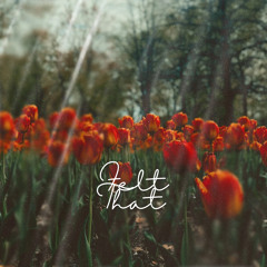 Felt That (prod. Lil T-shirt)