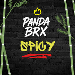 Spicy - Panda brx